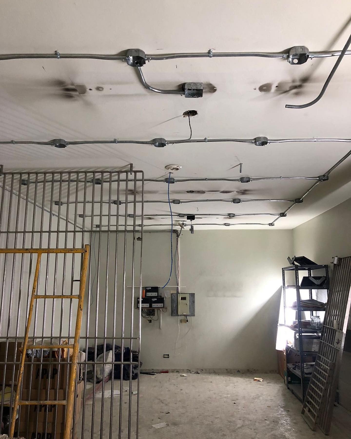 imgi_12_318759331_3430204737258088_7284556570924580335_n